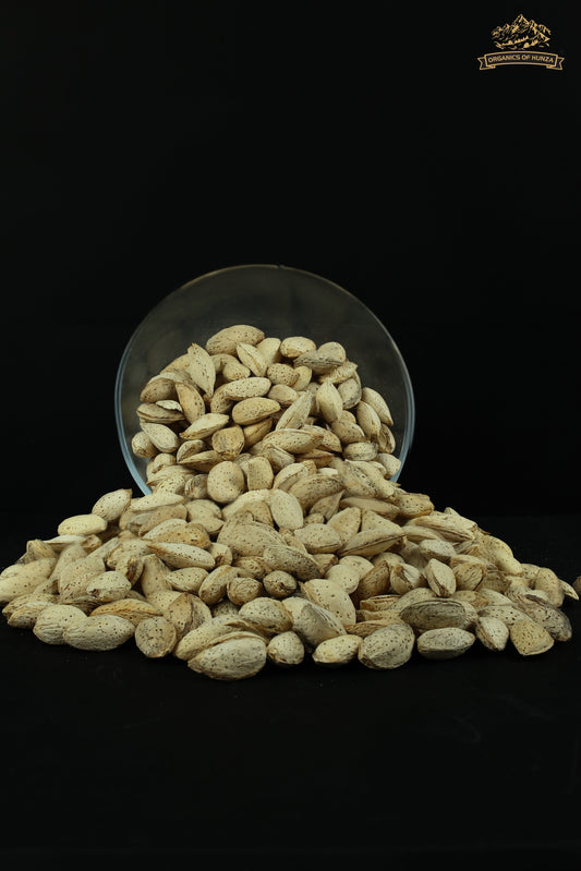 Almonds with Shell – Nature’s Treasure from Hunza