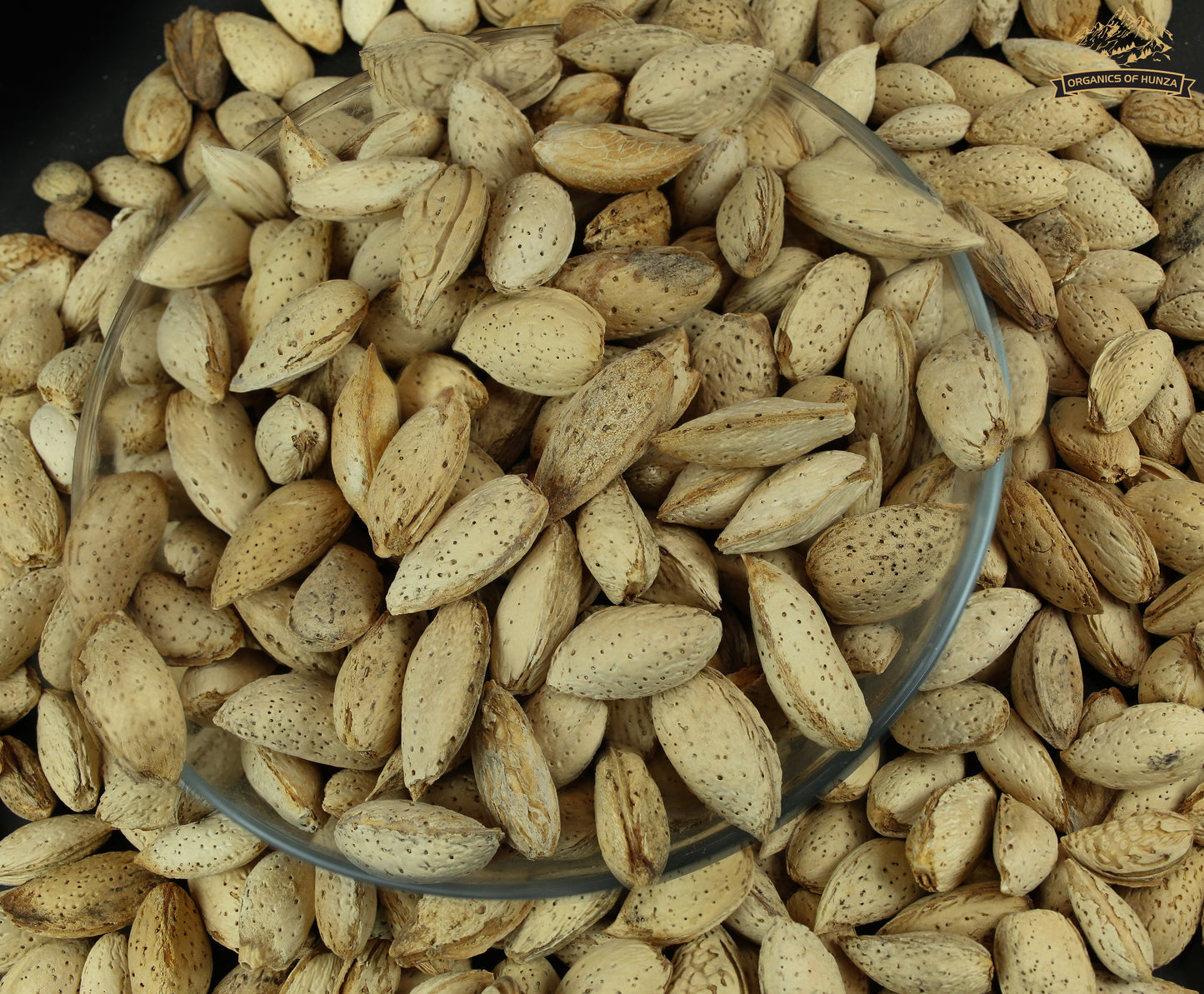 Almonds with Shell – Nature’s Treasure from Hunza