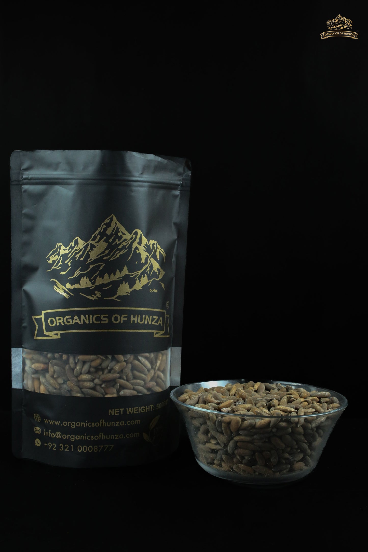 Chilghoza Pine Nuts – Rare Himalayan Gold from Hunza