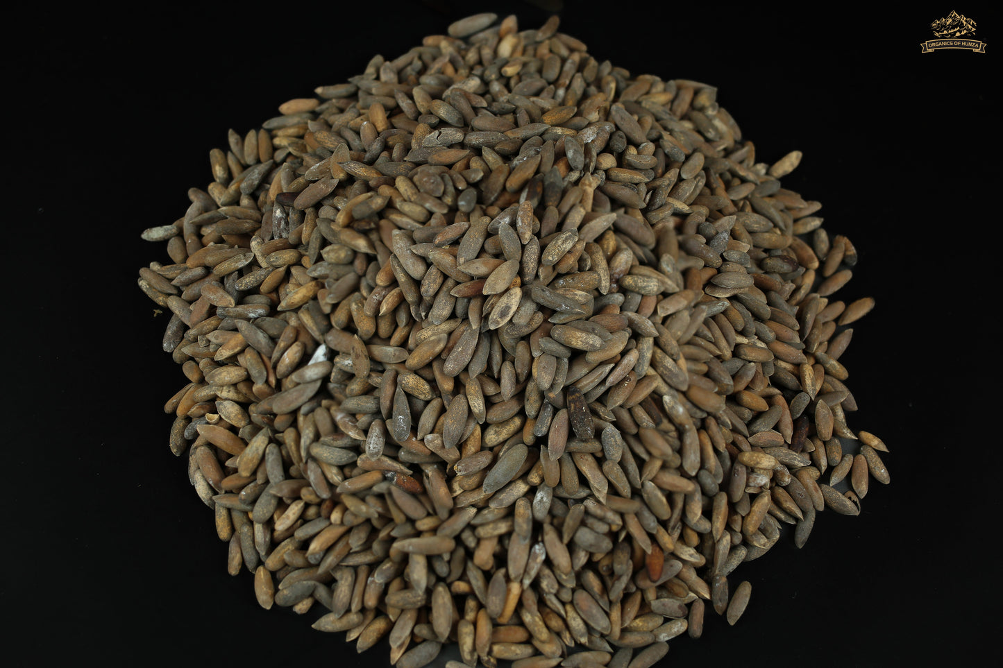 Chilghoza Pine Nuts – Rare Himalayan Gold from Hunza