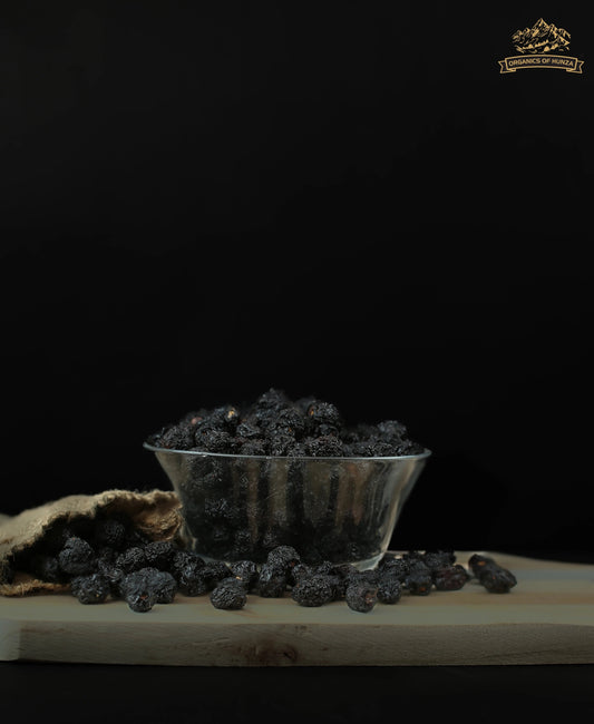 Dried Cherries with Seeds – Wild Tart Jewels from Hunza