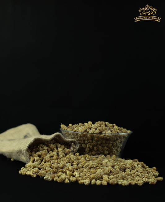 White Dried Mulberries – Naturally Sweet Gems from Hunza