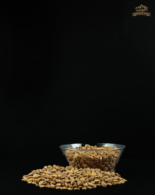 Apricot Almonds – Nature’s Perfect Fusion from Hunza