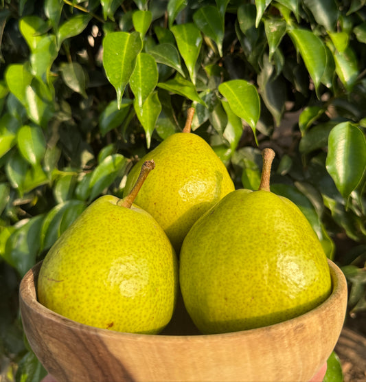 Fresh Hunza Pears – From the Highlands