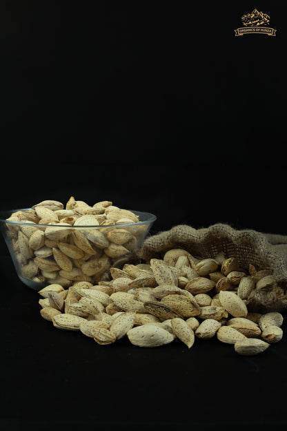 Almonds with Shell – Nature’s Treasure from Hunza