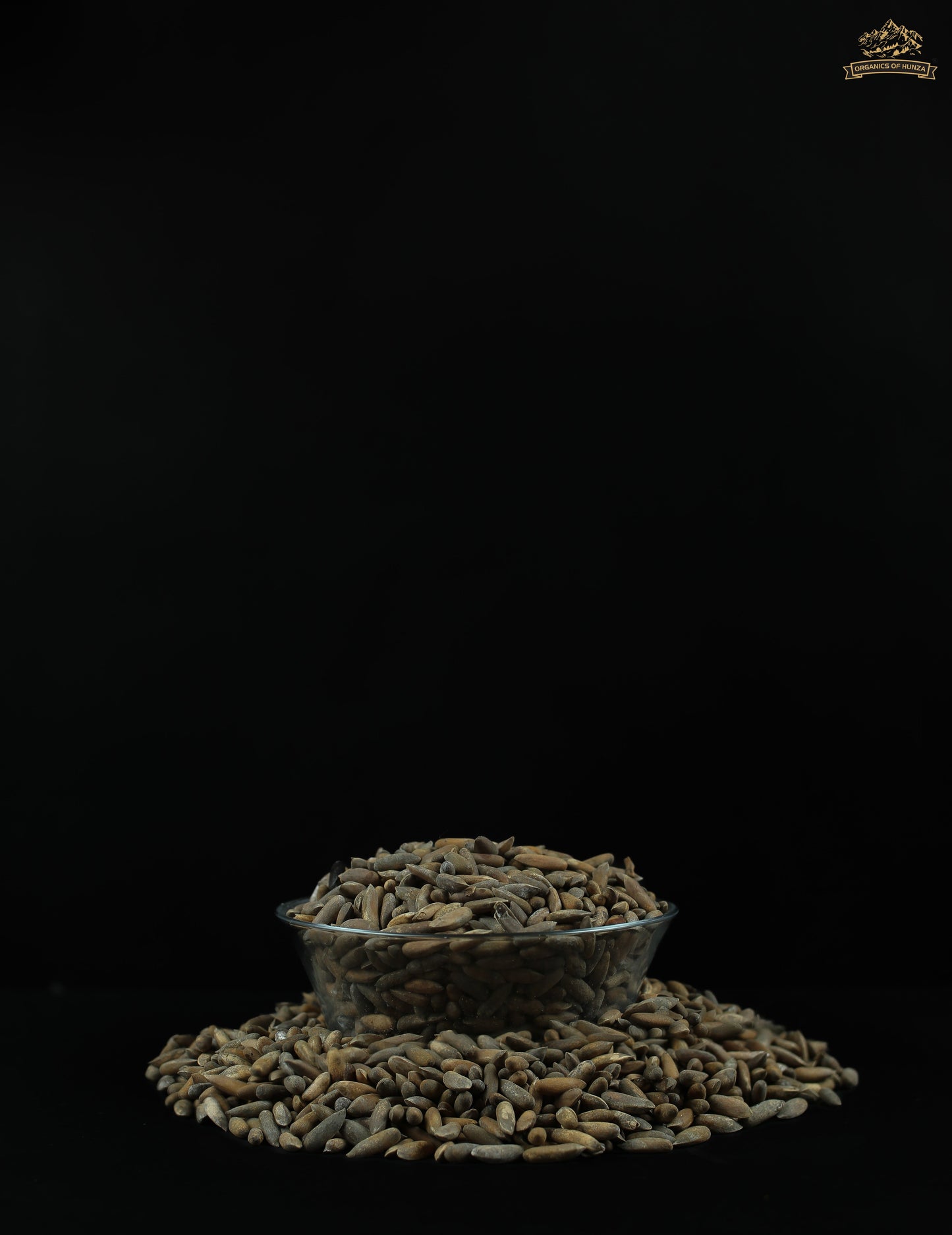Chilghoza Pine Nuts – Rare Himalayan Gold from Hunza
