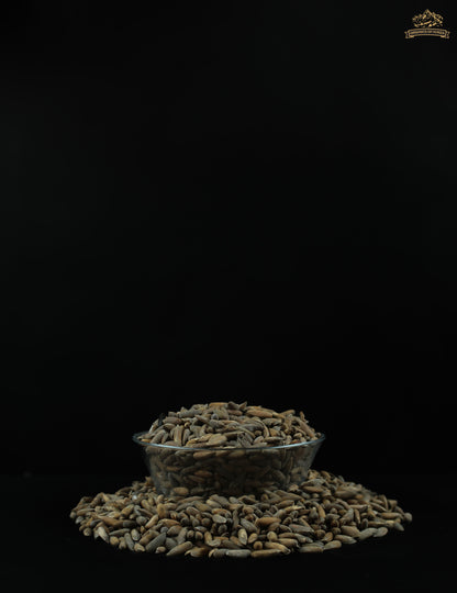 Chilghoza Pine Nuts – Rare Himalayan Gold from Hunza