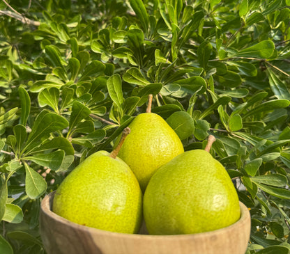 Fresh Hunza Pears – From the Highlands