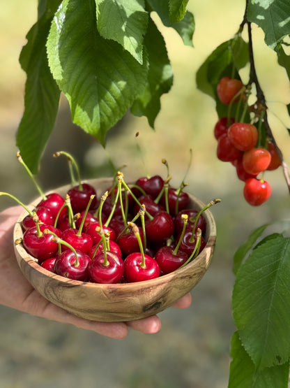 French Cherries