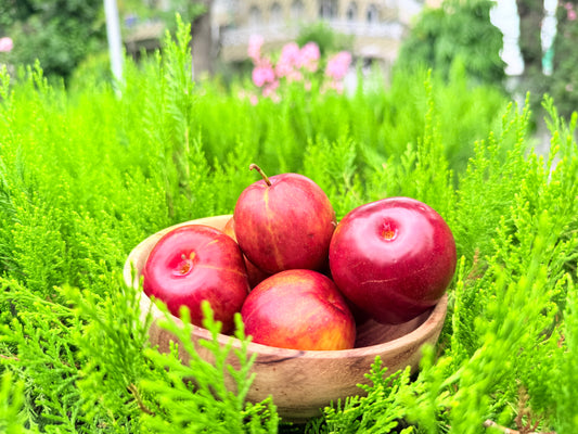 Hunza Plums (Aalu Bukhara) – Fresh from the Highlands