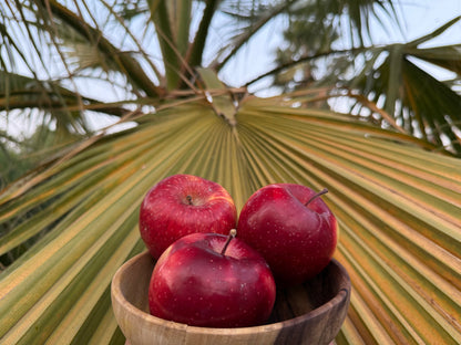 Fresh Red Gala Apples from Hunza