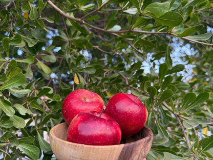 Fresh Red Gala Apples from Hunza