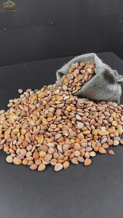 Apricot Almonds – Nature’s Perfect Fusion from Hunza